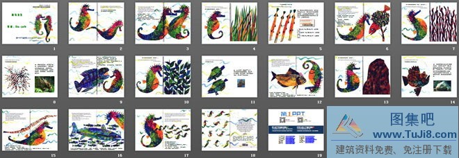《海马先生》ppt绘本故事下载